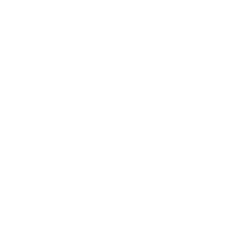 magento (1)