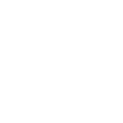 neto (1)